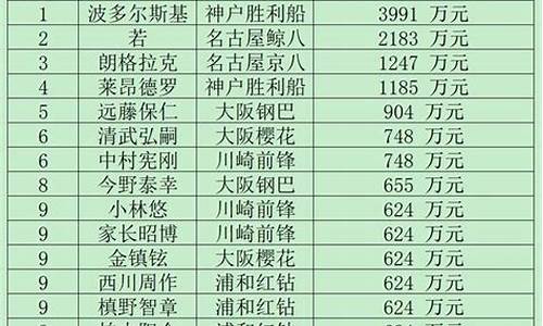 2020中超球员年薪排行榜,2012中超年薪