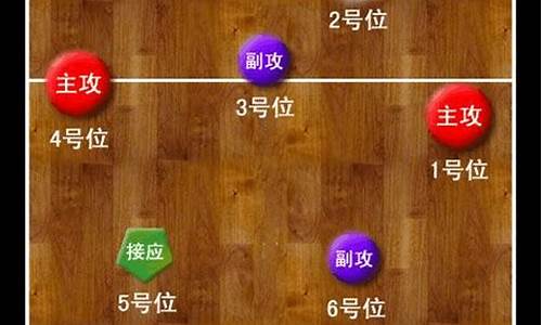 打排球站位_打排球的站位