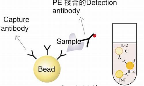 cba检测细胞因子_cba测细胞因子